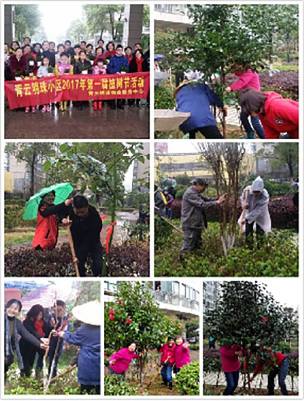 播一片綠林，種一份愛心
